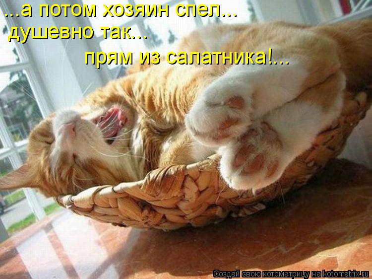 ...а потом хозяин спел... душевно так... прям из салатника!...... Котоматрица: ...а потом хозяин спел... душевно так... прям из салатника!...