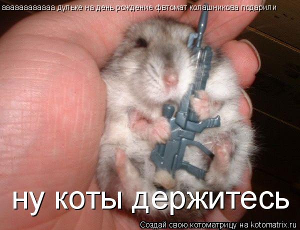 аааааааааааа дульке на день рождение фвтомат колашникова подарили ну коты держитесь... Котоматрица: аааааааааааа дульке на день рождение фвтомат колашникова подарили ну коты держитесь