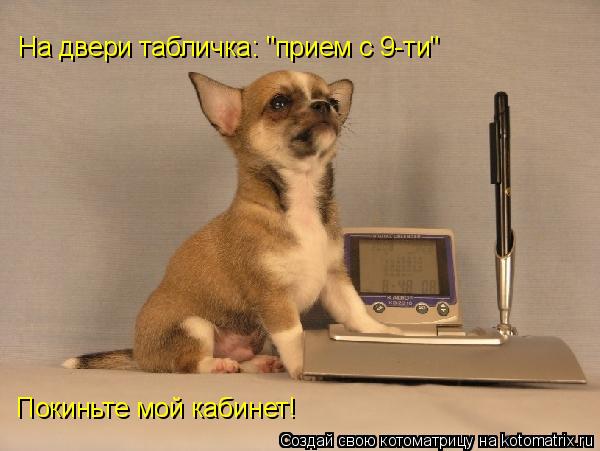 На двери табличка: "прием с 9-ти" Покиньте мой кабинет!... Котоматрица: На двери табличка: "прием с 9-ти" Покиньте мой кабинет!