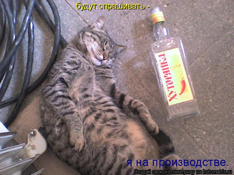 будут спрашивать - я на производстве.... Котоматрица: будут спрашивать - я на производстве.