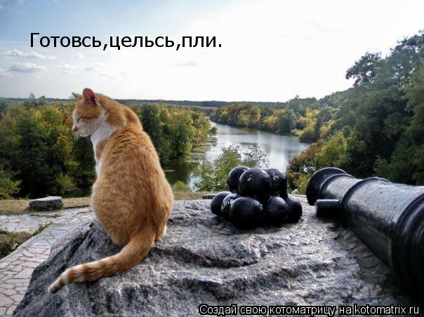 Готовсь,цельсь,пли.... Котоматрица: Готовсь,цельсь,пли.
