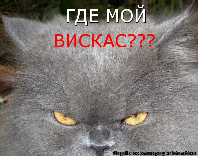 Котоматрица: ГДЕ МОЙ ВИСКАС???