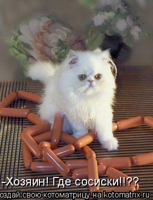 Котоматрица: -Хозяин! Где сосиски!!??