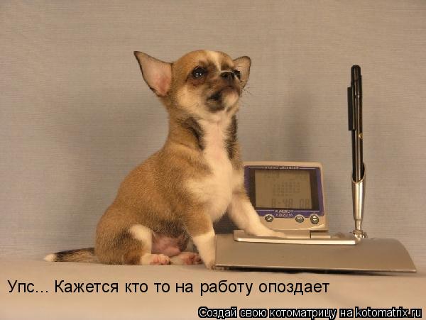 Котоматрица: Упс... Кажется кто то на работу опоздает