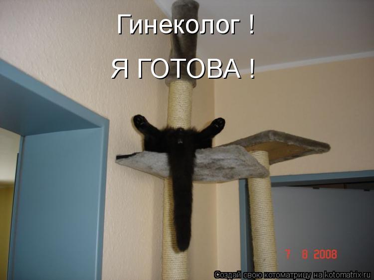 Котоматрица: Гинеколог ! Я ГОТОВА !