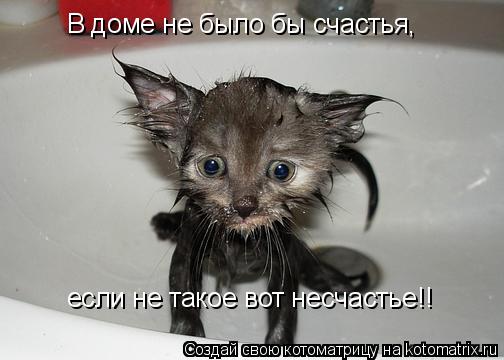 Котоматрица: В доме не было бы счастья, если не такое вот несчастье!!