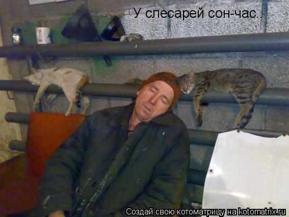 У слесарей сон-час..... Котоматрица: У слесарей сон-час..