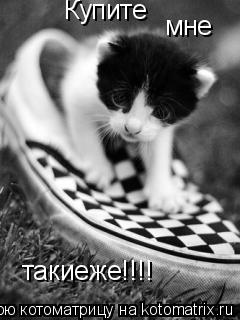 Купите мне такиеже!!!!... Котоматрица: Купите мне такиеже!!!!