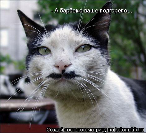 - А барбекю ваше подгорело...... Котоматрица: - А барбекю ваше подгорело...