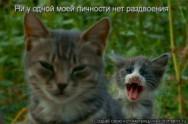 Ни у одной моей личности нет раздвоения... Котоматрица: Ни у одной моей личности нет раздвоения