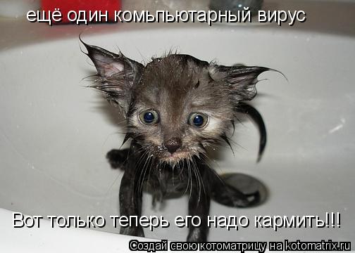 ещё один комьпьютарный вирус Вот только теперь его надо кармить!!!... Котоматрица: ещё один комьпьютарный вирус Вот только теперь его надо кармить!!!