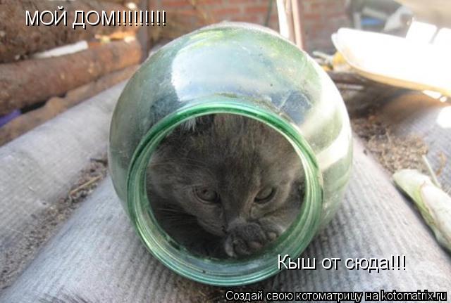 МОЙ ДОМ!!!!!!!!! Кыш от сюда!!!... Котоматрица: МОЙ ДОМ!!!!!!!!! Кыш от сюда!!!