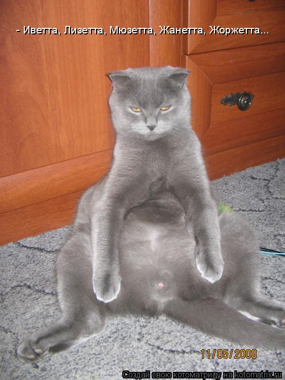 - Иветта, Лизетта, Мюзетта, Жанетта, Жоржетта...... Котоматрица: - Иветта, Лизетта, Мюзетта, Жанетта, Жоржетта...