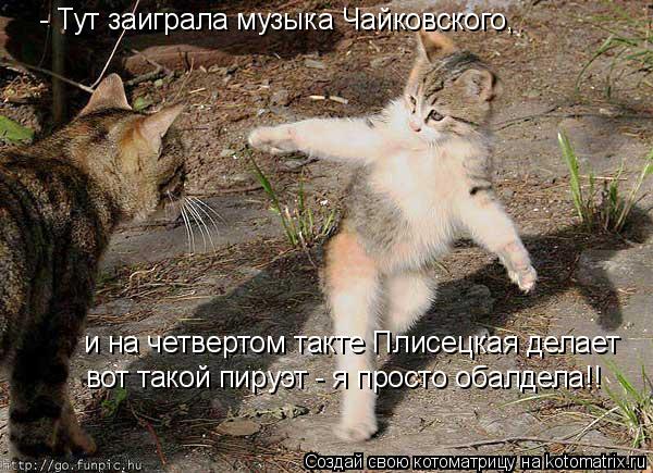 - Тут заиграла музыка Чайковского, и на четвертом такте Плисецкая делает вот такой пируэт - я просто... Котоматрица: - Тут заиграла музыка Чайковского, и на четвертом такте Плисецкая делает вот такой пируэт - я просто обалдела!!