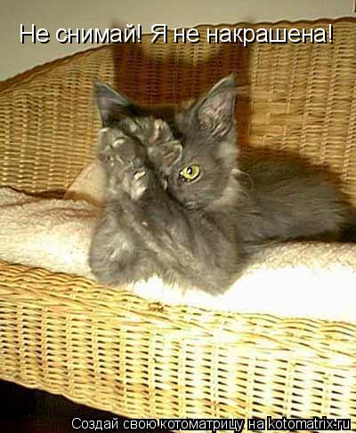 Не снимай! Я не накрашена!... Котоматрица: Не снимай! Я не накрашена!