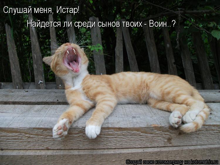 Слушай меня, Истар! Найдется ли среди сынов твоих - Воин..?... Котоматрица: Слушай меня, Истар! Найдется ли среди сынов твоих - Воин..?
