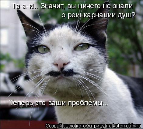 Котоматрица: - Та-а-к!.. Значит, вы ничего не знали  о реинкарнации душ? Теперь это ваши проблемы...
