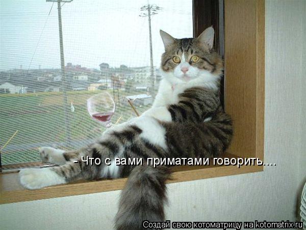 Котоматрица: - Что с вами приматами говорить....
