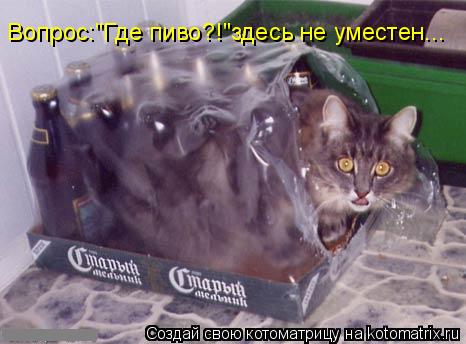 Котоматрица: Вопрос:"Где пиво?!"здесь не уместен...