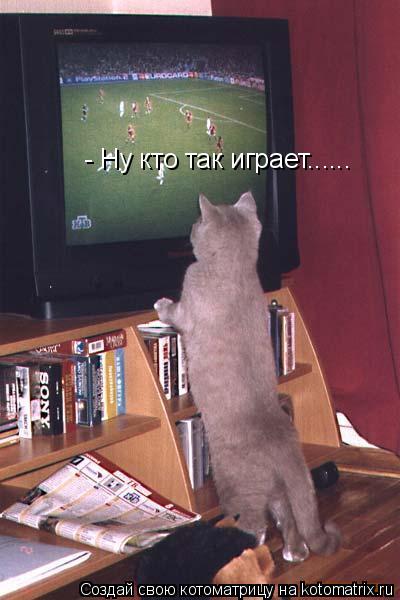 Котоматрица: - Ну кто так играет......