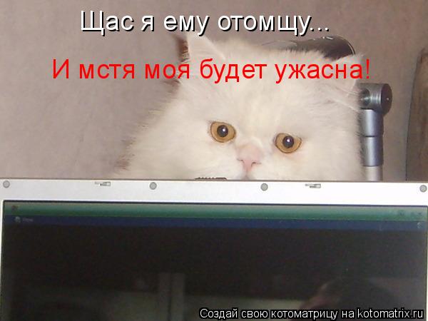 Котоматрица: Щас я ему отомщу... И мстя моя будет ужасна!