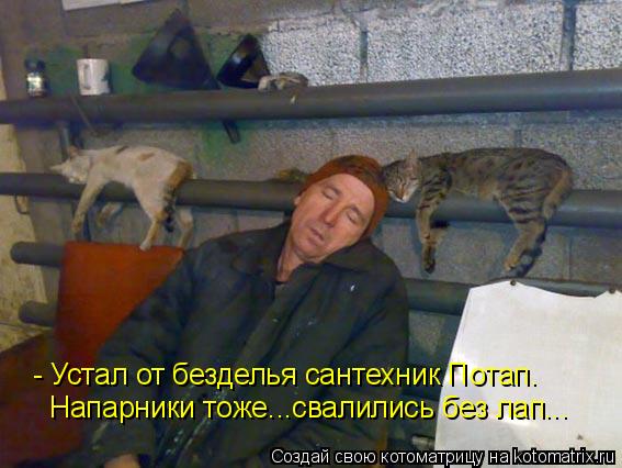 - Устал от безделья сантехник Потап. Напарники тоже...свалились без лап...... Котоматрица: - Устал от безделья сантехник Потап. Напарники тоже...свалились без лап...