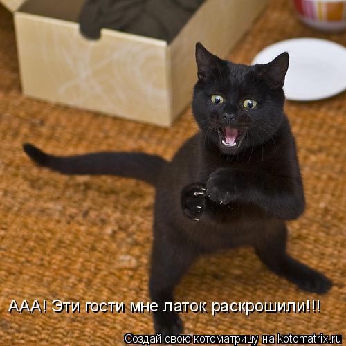 ААА! Эти гости мне латок раскрошили!!!... Котоматрица: ААА! Эти гости мне латок раскрошили!!!