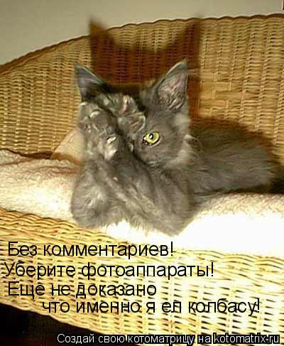 Без комментариев! Уберите фотоаппараты! Еще не доказано что именно я ел колбасу!... Котоматрица: Без комментариев! Уберите фотоаппараты! Еще не доказано что именно я ел колбасу!
