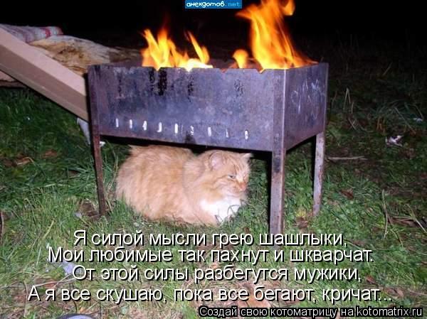 Я силой мысли грею шашлыки, От этой силы разбегутся мужики, Мои любимые так пахнут и шкварчат. А я вс... Котоматрица: Я силой мысли грею шашлыки, От этой силы разбегутся мужики, Мои любимые так пахнут и шкварчат. А я все скушаю, пока все бегают, кричат...