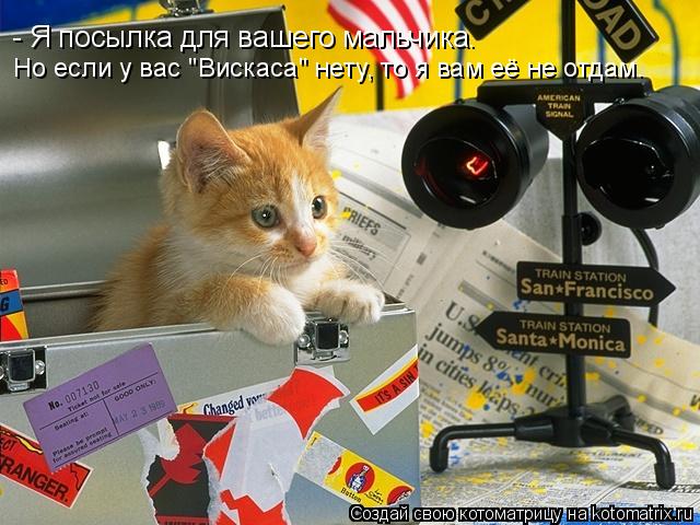 - Я посылка для вашего мальчика. Но если у вас "Вискаса" нету, то я вам её не отдам.... Котоматрица: - Я посылка для вашего мальчика. Но если у вас "Вискаса" нету, то я вам её не отдам.