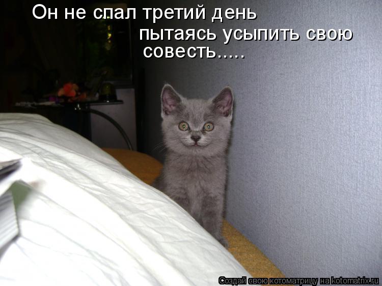 Он не спал третий день пытаясь усыпить свою совесть........ Котоматрица: Он не спал третий день пытаясь усыпить свою совесть.....