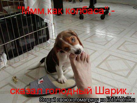 "Ммм,как колбаса",- сказал голодный Шарик...... Котоматрица: "Ммм,как колбаса",- сказал голодный Шарик...