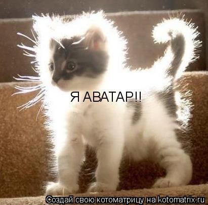 Я АВАТАР!!... Котоматрица: Я АВАТАР!!