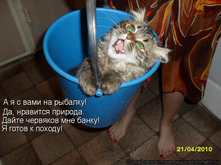 А я с вами на рыбалку! Да, нравится природа. Дайте червяков мне банку! Я готов к походу!... Котоматрица: А я с вами на рыбалку! Да, нравится природа. Дайте червяков мне банку! Я готов к походу!