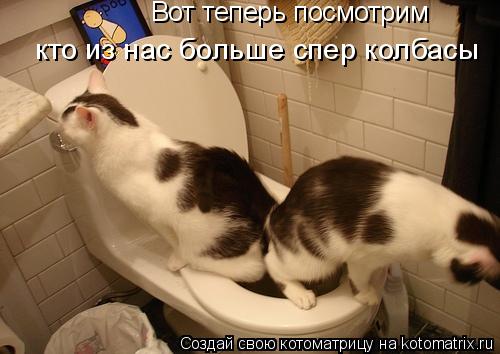 Вот теперь посмотрим кто из нас больше спер колбасы... Котоматрица: Вот теперь посмотрим кто из нас больше спер колбасы