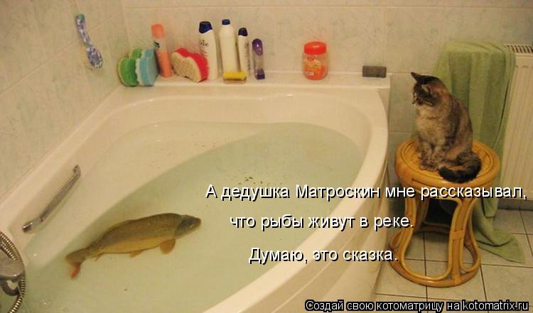 А дедушка Матроскин мне рассказывал, что рыбы живут в реке. Думаю, это сказка.... Котоматрица: А дедушка Матроскин мне рассказывал, что рыбы живут в реке. Думаю, это сказка.