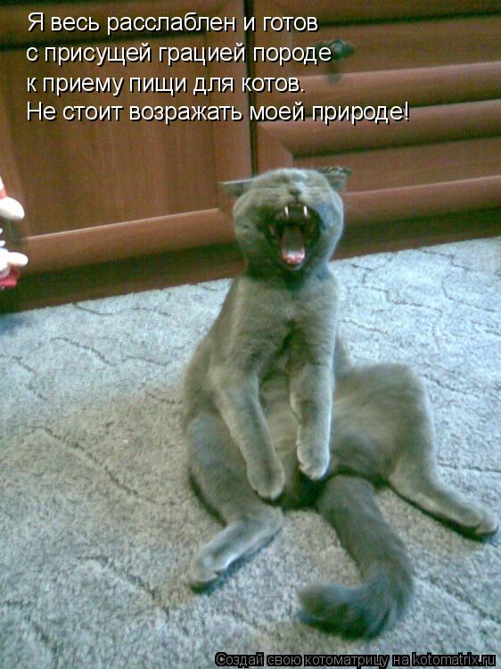 Я весь расслаблен и готов с присущей грацией породе к приему пищи для котов. Не стоит возражать моей ... Котоматрица: Я весь расслаблен и готов с присущей грацией породе к приему пищи для котов. Не стоит возражать моей природе!