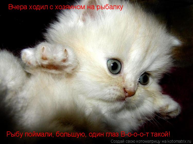 Вчера ходил с хозяином на рыбалку Рыбу поймали, большую, один глаз В-о-о-о-т такой!... Котоматрица: Вчера ходил с хозяином на рыбалку Рыбу поймали, большую, один глаз В-о-о-о-т такой!