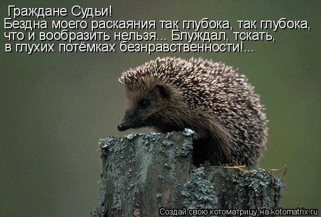 Граждане Судьи! Бездна моего раскаяния так глубока, так глубока, что и вообразить нельзя... Блуждал, ... Котоматрица: Граждане Судьи! Бездна моего раскаяния так глубока, так глубока, что и вообразить нельзя... Блуждал, тскать, в глухих потёмках безнравственн