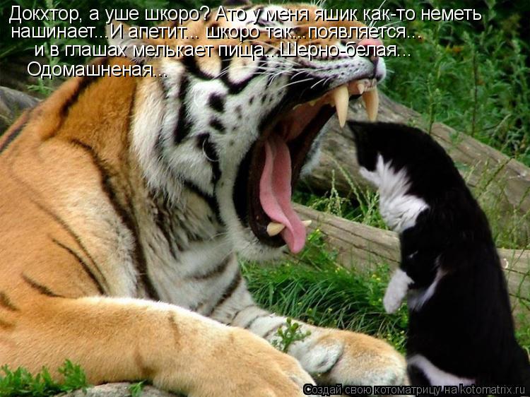 Докхтор, а уше шкоро? Ато у меня яшик как-то неметь нашинает...И апетит... шкоро так...появляется... ... Котоматрица: Докхтор, а уше шкоро? Ато у меня яшик как-то неметь нашинает...И апетит... шкоро так...появляется... и в глашах мелькает пища...Шерно-белая... Одома