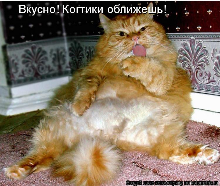 Вкусно! Когтики оближешь!... Котоматрица: Вкусно! Когтики оближешь!