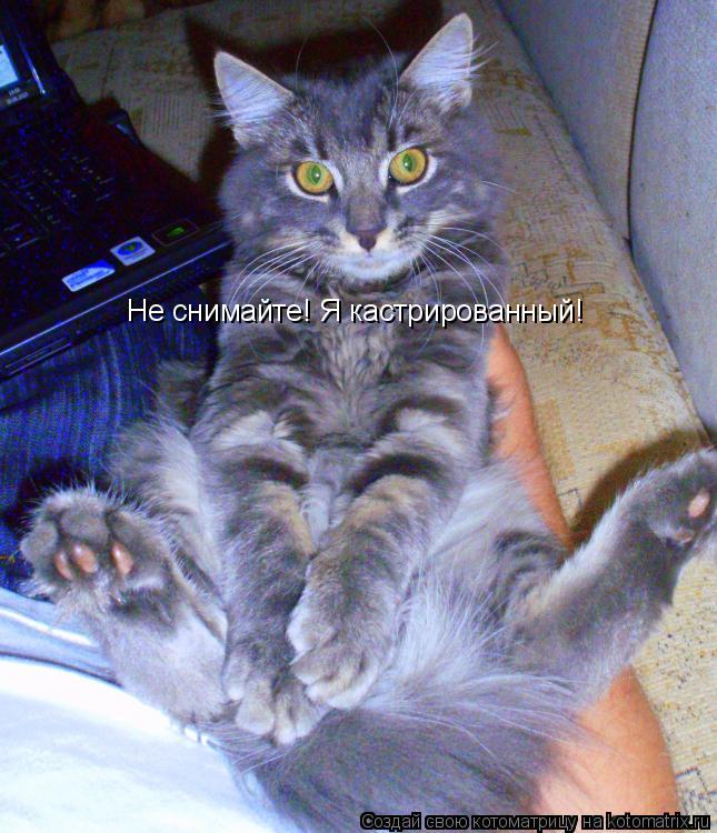 Не снимайте! Я кастрированный!... Котоматрица: Не снимайте! Я кастрированный!