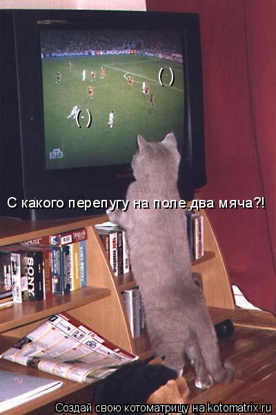 ( ) ( ) С какого перепугу на поле два мяча?!... Котоматрица: ( ) ( ) С какого перепугу на поле два мяча?!