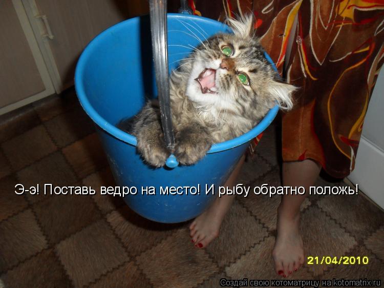 Э-э! Поставь ведро на место! И рыбу обратно положь!... Котоматрица: Э-э! Поставь ведро на место! И рыбу обратно положь!