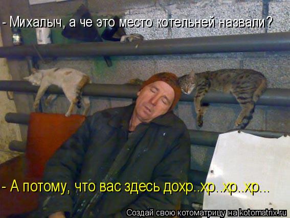 Котоматрица: - Михалыч, а че это место котельней назвали? - А потому, что вас здесь дохр..хр..хр..хр...
