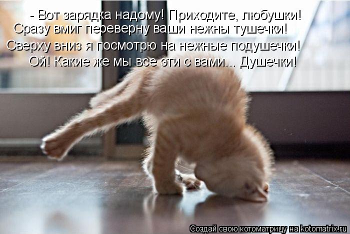 - Вот зарядка надому! Приходите, любушки! Сверху вниз я посмотрю на нежные подушечки! Ой! Какие же мы... Котоматрица: - Вот зарядка надому! Приходите, любушки! Сверху вниз я посмотрю на нежные подушечки! Ой! Какие же мы все эти с вами... Душечки! Сразу вмиг пере