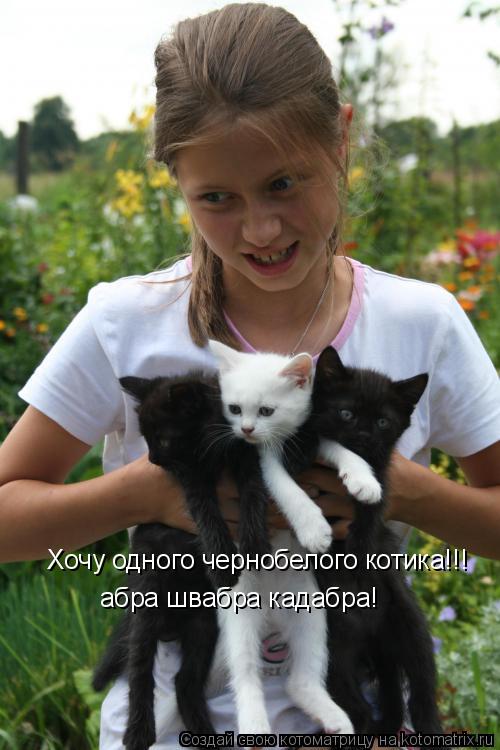 Хочу одного чернобелого котика!!! абра швабра кадабра!... Котоматрица: Хочу одного чернобелого котика!!! абра швабра кадабра!