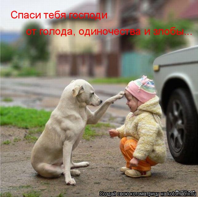 Спаси тебя господи от голода, одиночества и злобы...... Котоматрица: Спаси тебя господи от голода, одиночества и злобы...