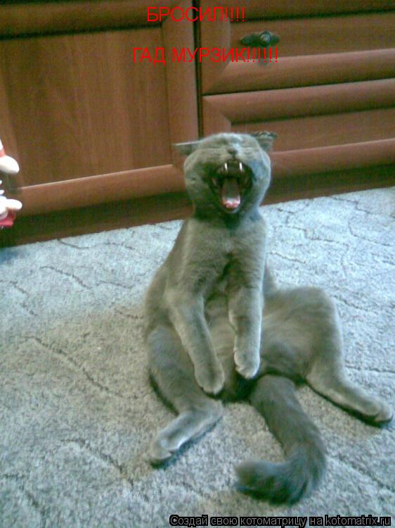 БРОСИЛ!!!! ГАД МУРЗИК!!!!!!... Котоматрица: БРОСИЛ!!!! ГАД МУРЗИК!!!!!!