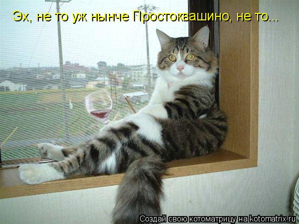 Котоматрица: Эх, не то уж нынче Простоквашино, не то...